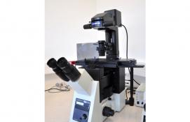 Mikroskop odwrócony (IX 73, Olympus)